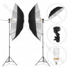 GlareOne Continuous Light Kit SUNNY SILVER-2x625