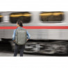 Travel Line Peak Design Travel Backpack 45L Sage