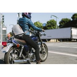 PEAK DESIGN Everyday Messenger 13L - Ash
