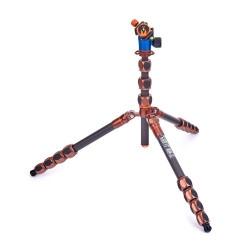 Statyw 3 Legged Thing Albert 2.0 Bronze, włókna węglowe, 5-sekcji, udźwig 30kg, głowica Pro Lever