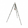 Statyw 3 Legged Thing Bucky Grey, włókna węglowe, 5-sekcji, udźwig 30kg, głowica Airhed VU